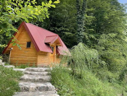 Cabin_03